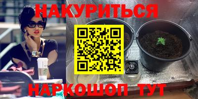 PSILOCYBIN Балахна